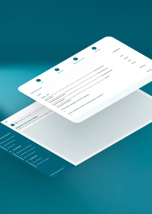 PortfolioVisualIdentity-0